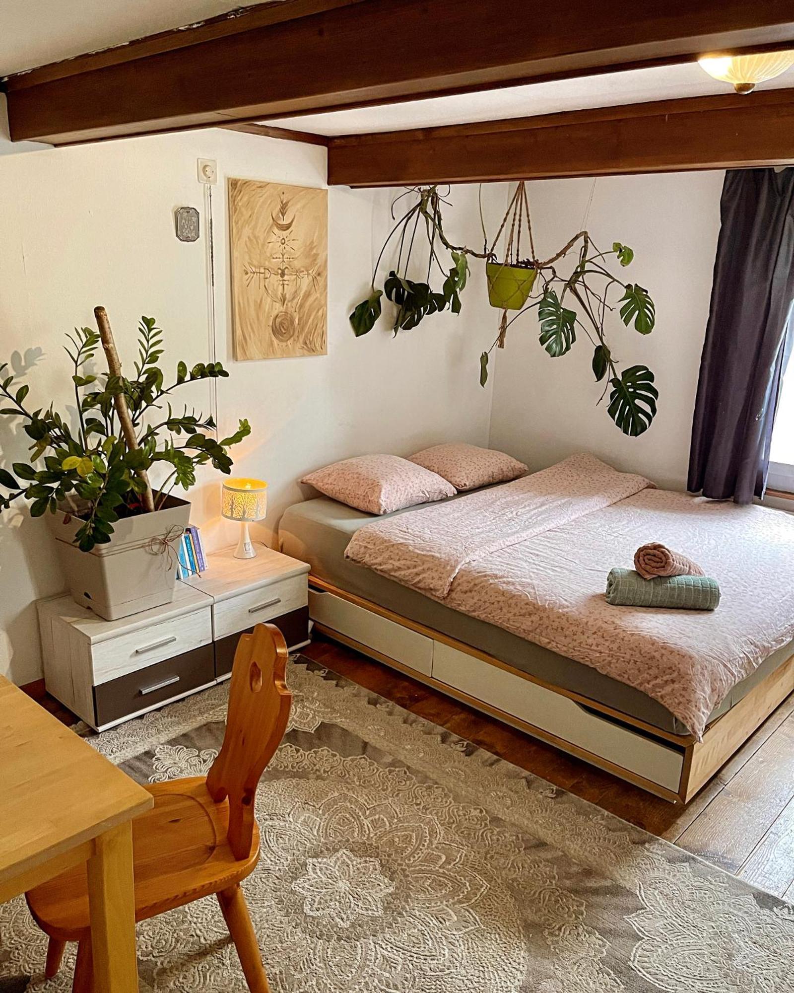 Cozy Room In An Old Farmhouse Near Vaduz Sevelen المظهر الخارجي الصورة